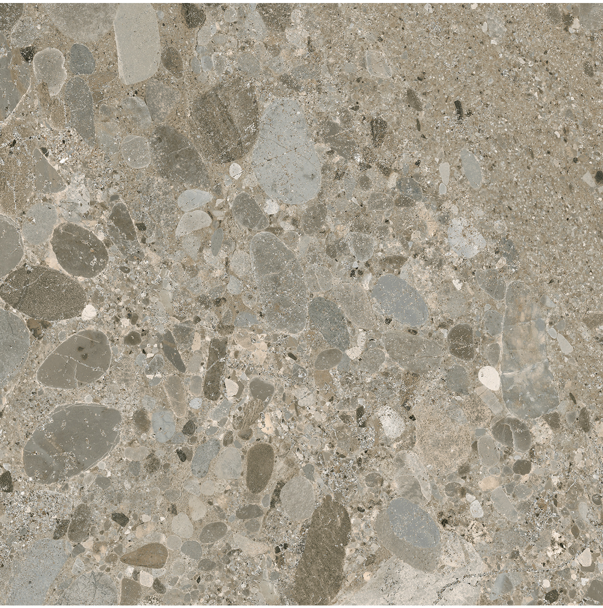 Camelot Brown Dark Wall and floor tiles