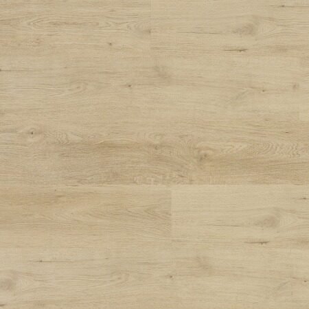 SPC Invisible - Image 4