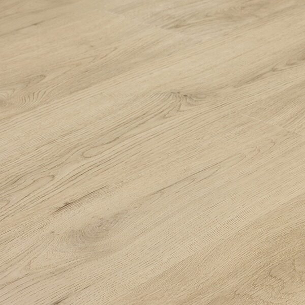 SPC Invisible - Image 3