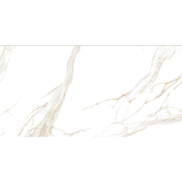 Calacatta Gold WM Wall and floor tiles