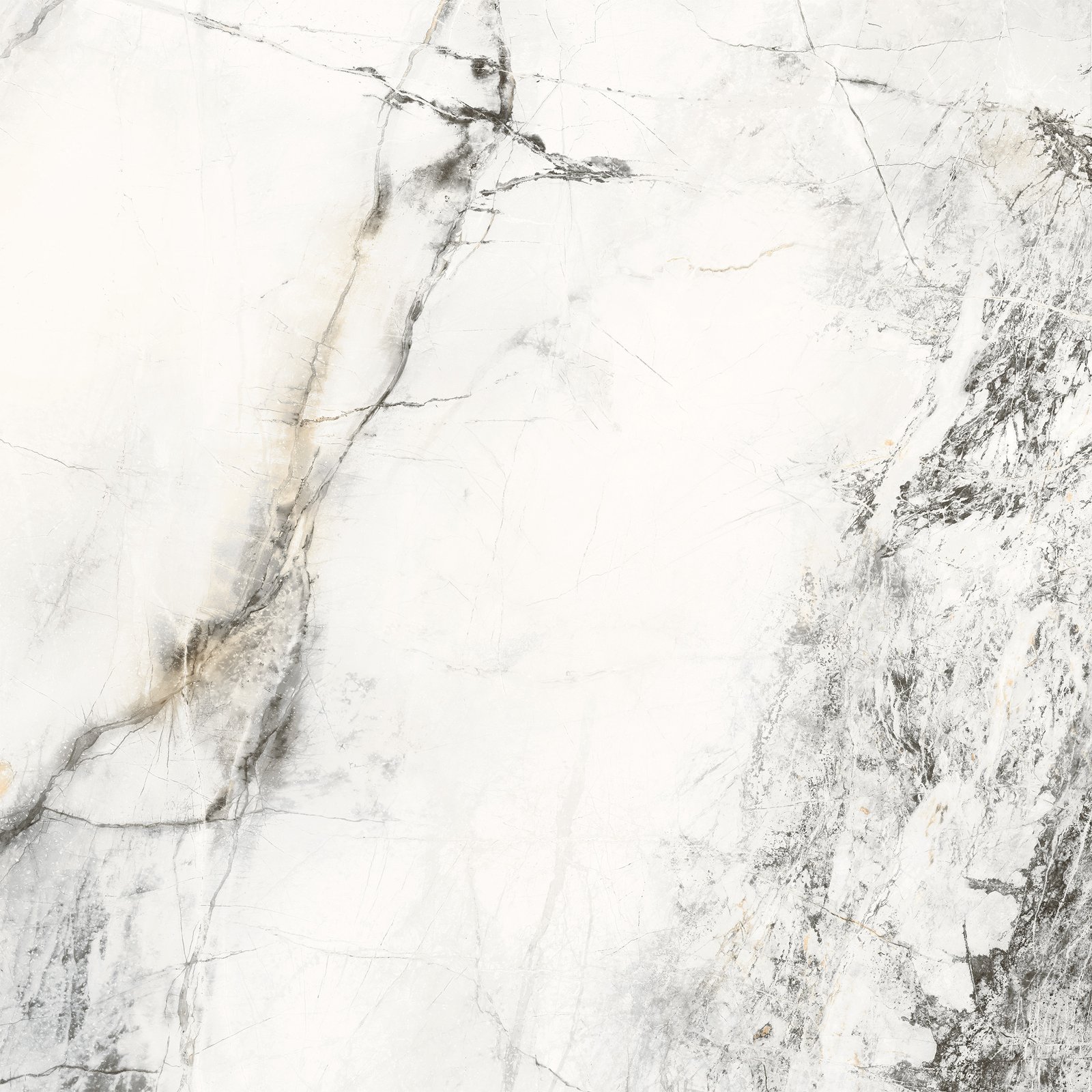 Favore Wall and floor tiles - Image 3