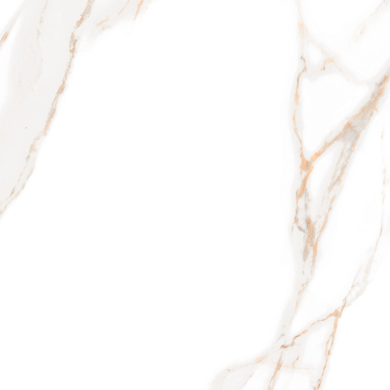 Calacatta Gold WM Wand- & Bodenfliese