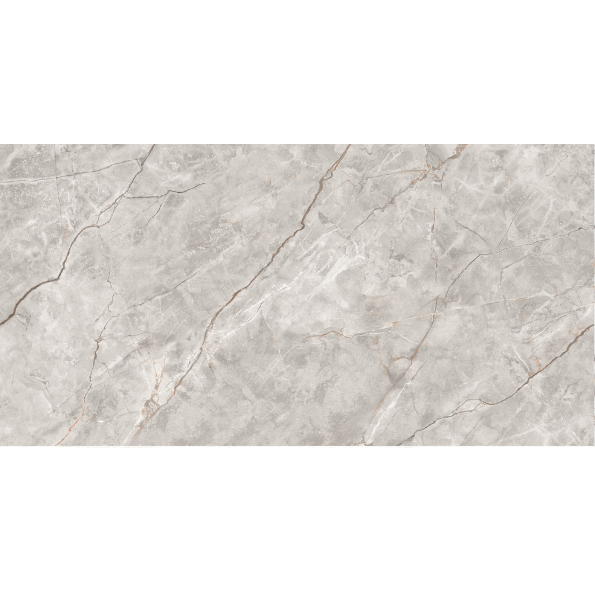 Eterno Grey Wall and floor tiles